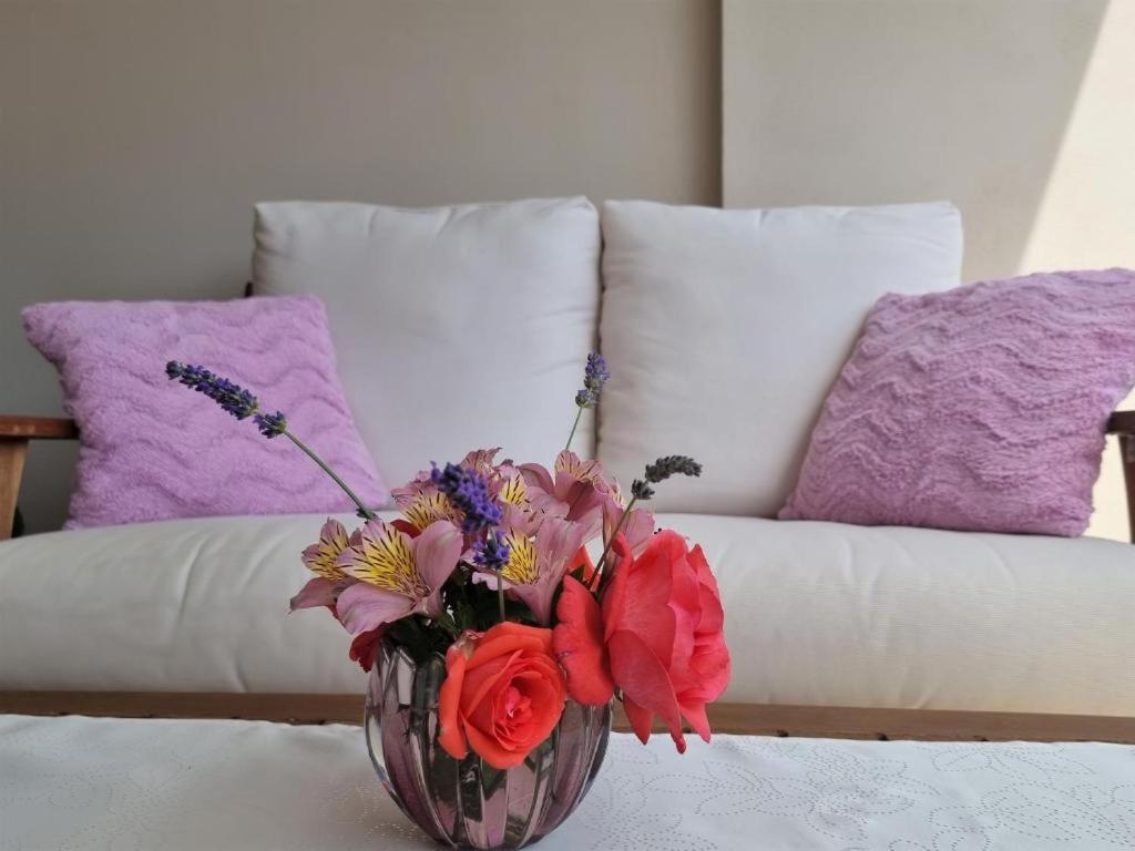 Apartments Ragusa Rovinj Zewnętrze zdjęcie